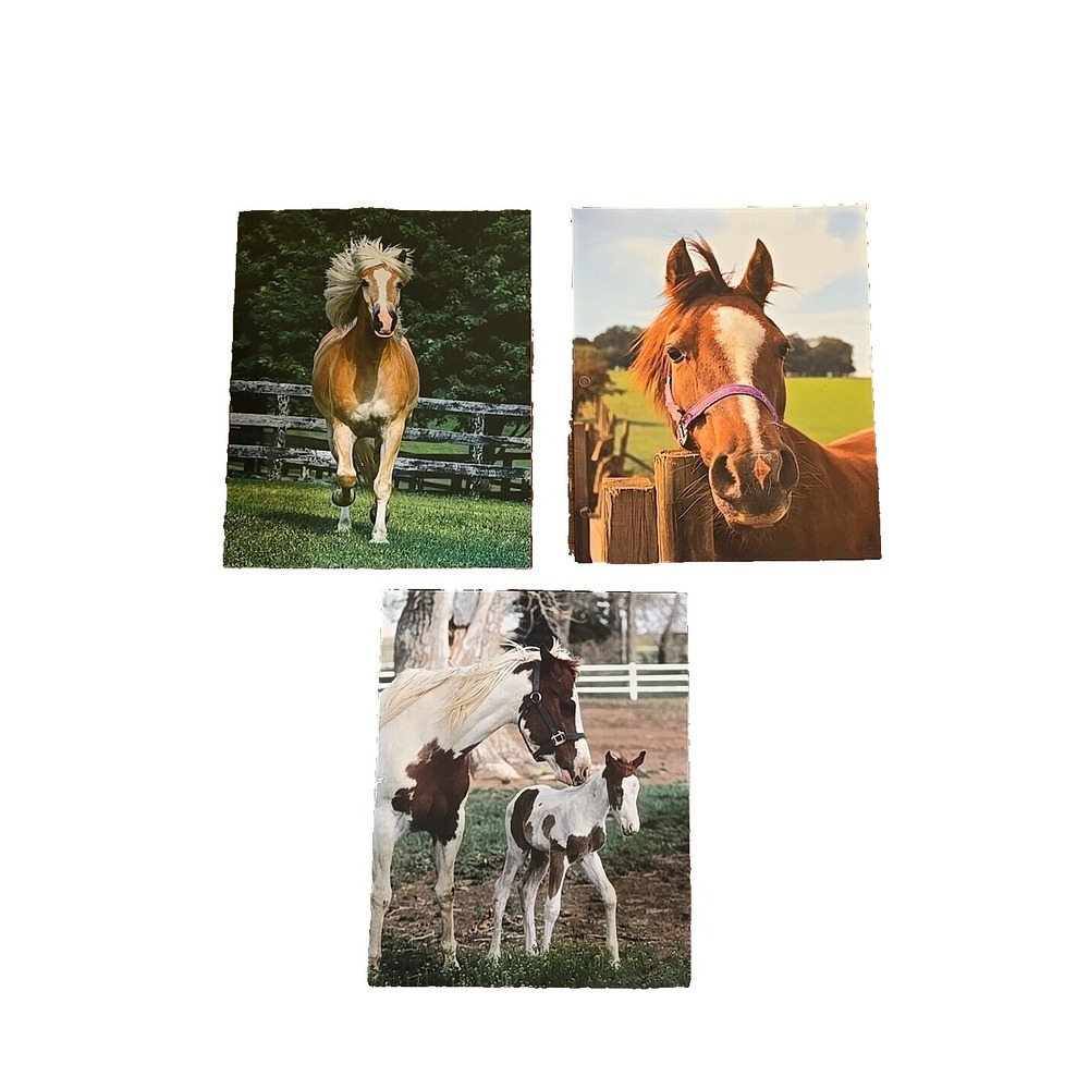 Cardboard Pocket Folders 3-Pack‎ Back to School Horse Theme Teal Red Purple